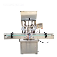 2 Heads Automatic Cream Paste Filling Machine