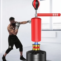 Speed Ball Boxing Sandbag 